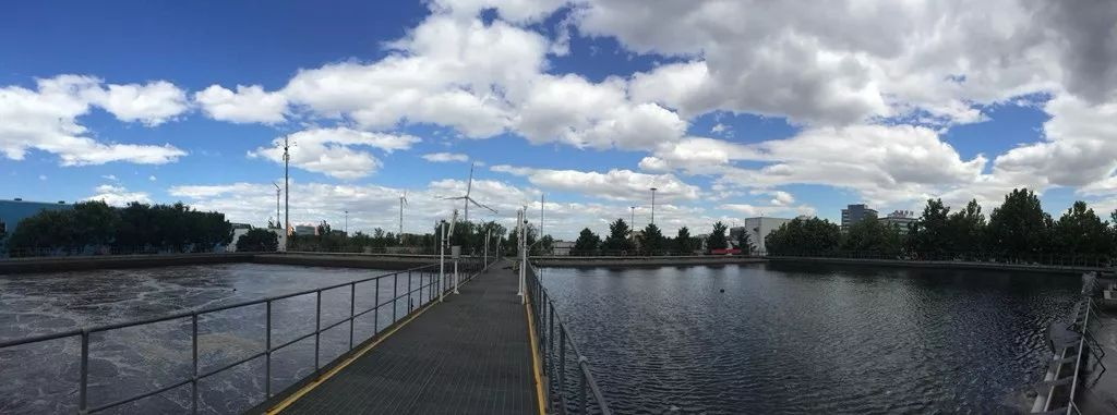 樂中環(huán)?？萍嘉鬯幚韱柎穑?8）：羅茨鼓風機的構(gòu)造，羅茨鼓風機的優(yōu)點和缺點有哪些