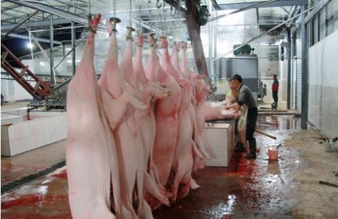 屠宰廢水處理方法有哪些？屠宰廢水處理設備價格？-01