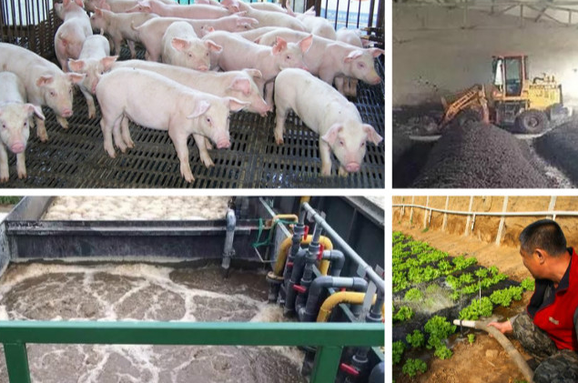 養(yǎng)殖污水處理一體設備多少錢？養(yǎng)殖污水處理方法