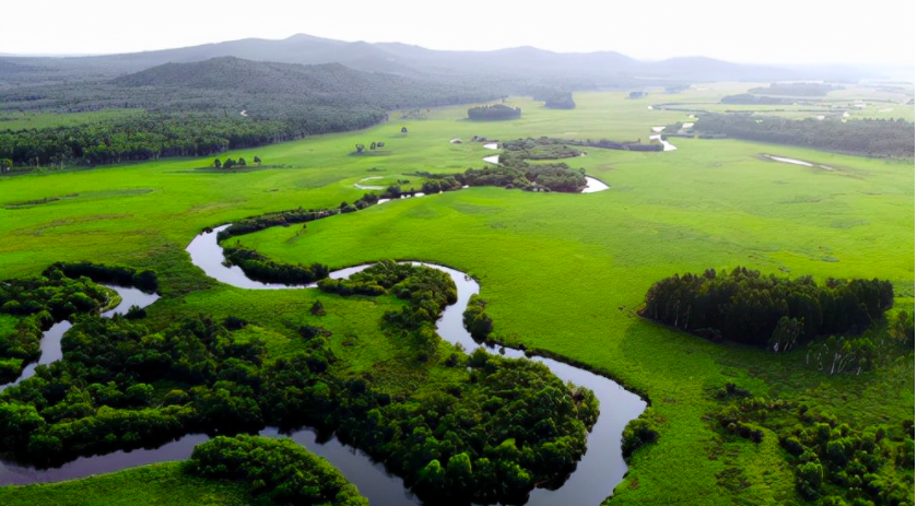 哈爾濱大量污水未經(jīng)處理直排松花江，會(huì)對當(dāng)?shù)芈糜螛I(yè)帶來哪些影響