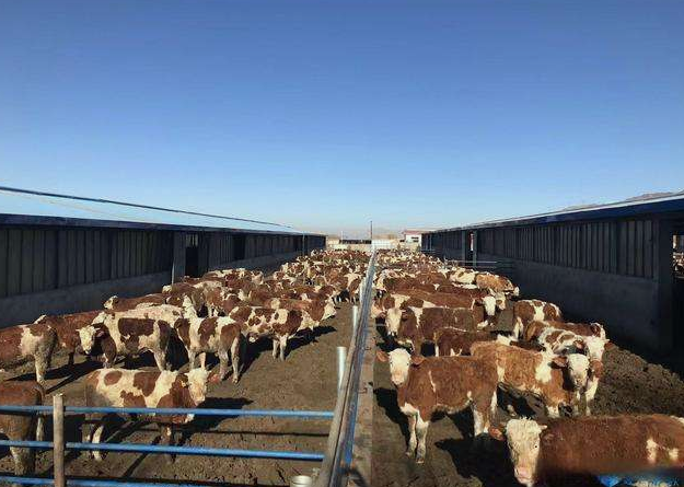 養(yǎng)殖場污水直接排放會面臨哪些處罰？JPEG.2