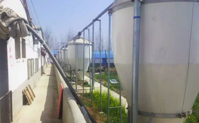 養(yǎng)豬污水處理設(shè)備一套多少錢？掌握這三點(diǎn)幫助你節(jié)約成本