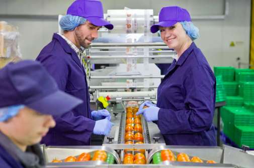 專業(yè)食品加工污水處理設備生產(chǎn)廠家分享（食品污水處理方法）