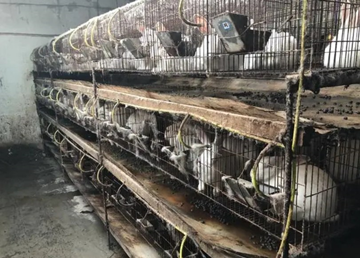 養(yǎng)殖廢水處理設備廠家_樂中