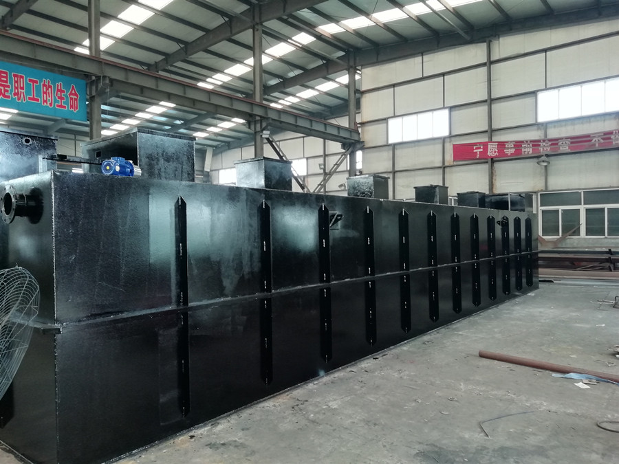 揭秘：海鮮加工廠如何有效處理清洗廢水？